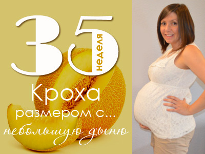 Размер ребенка в 35 недель