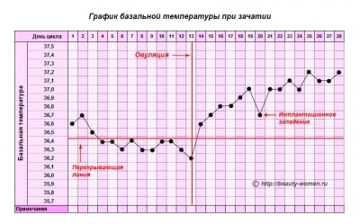 График базальной температуры - методы построения и расшифровки