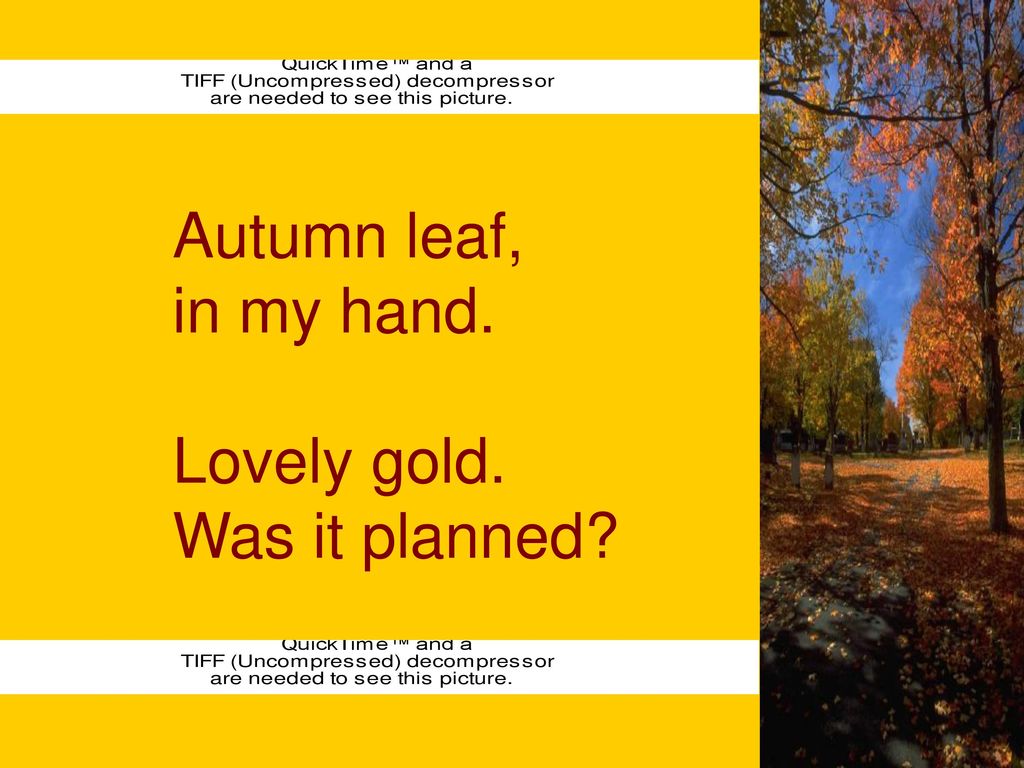 Autumn leaf, in my hand. Lovely gold. Was it planned Autumn leaf, in my hand. Lovely gold. Was it planned