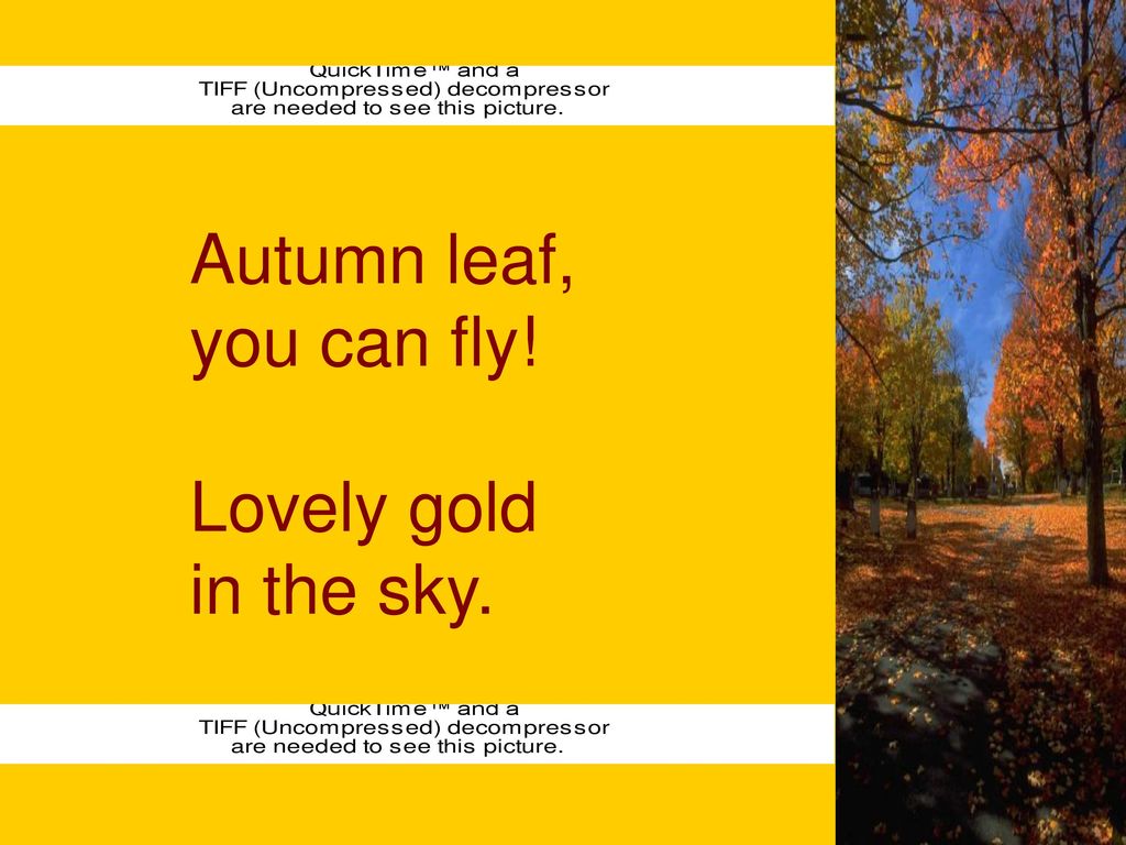 Autumn leaf, you can fly! Lovely gold in the sky. Autumn leaf, you can fly! Lovely gold in the sky.